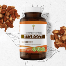 Load image into Gallery viewer, Secrets Of The Tribe Red Root Capsules buy online 