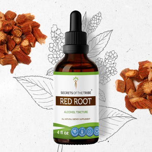 Secrets Of The Tribe Red Root Tincture buy online 