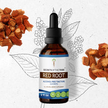 Load image into Gallery viewer, Secrets Of The Tribe Red Root Tincture buy online 