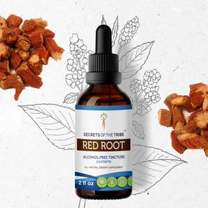 Secrets Of The Tribe Red Root Tincture buy online 