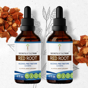 Secrets Of The Tribe Red Root Tincture buy online 