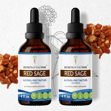 Load image into Gallery viewer, Secrets Of The Tribe Red Sage Tincture buy online 