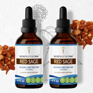 Secrets Of The Tribe Red Sage Tincture buy online 