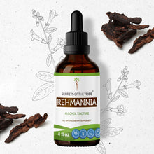 Load image into Gallery viewer, Secrets Of The Tribe Rehmannia Tincture buy online 