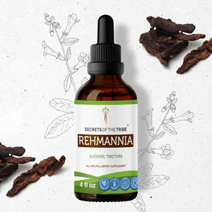 Secrets Of The Tribe Rehmannia Tincture buy online 