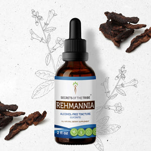 Secrets Of The Tribe Rehmannia Tincture buy online 