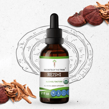 Load image into Gallery viewer, Secrets Of The Tribe Reishi Tincture buy online 