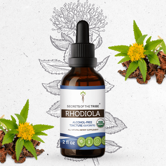 Secrets Of The Tribe Rhodiola Tincture buy online 