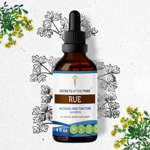 Load image into Gallery viewer, Secrets Of The Tribe Rue Tincture buy online 