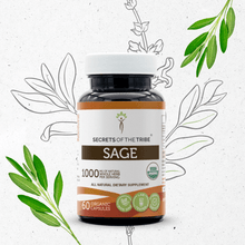 Load image into Gallery viewer, Secrets Of The Tribe Sage Capsules buy online 