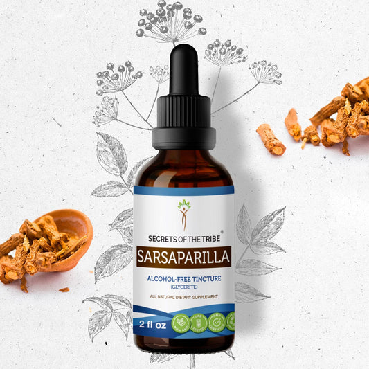 Secrets Of The Tribe Sarsaparilla Tincture buy online 