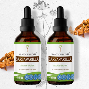 Secrets Of The Tribe Sarsaparilla Tincture buy online 