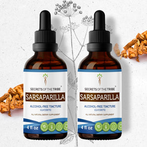 Secrets Of The Tribe Sarsaparilla Tincture buy online 