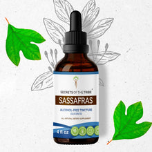 Load image into Gallery viewer, Secrets Of The Tribe Sassafras Tincture buy online 