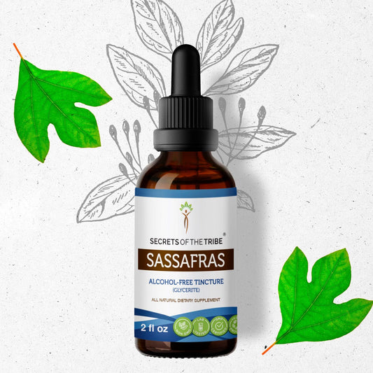 Secrets Of The Tribe Sassafras Tincture buy online 