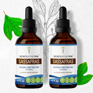 Secrets Of The Tribe Sassafras Tincture buy online 