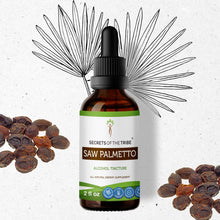 Load image into Gallery viewer, Secrets Of The Tribe Saw Palmetto Tincture buy online 