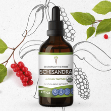 Load image into Gallery viewer, Secrets Of The Tribe Schisandra Tincture buy online 
