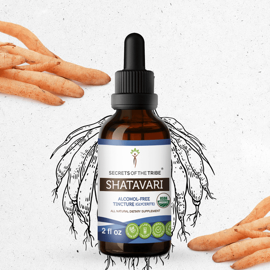 Secrets Of The Tribe Shatavari Tincture buy online 