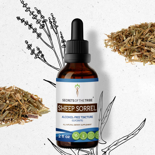 Secrets Of The Tribe Sheep Sorrel Tincture buy online 