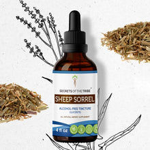 Load image into Gallery viewer, Secrets Of The Tribe Sheep Sorrel Tincture buy online 