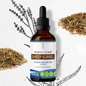 Secrets Of The Tribe Sheep Sorrel Tincture buy online 