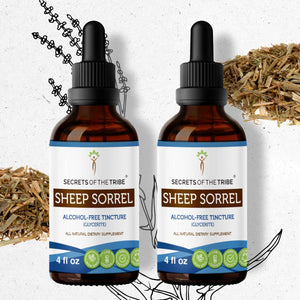 Secrets Of The Tribe Sheep Sorrel Tincture buy online 