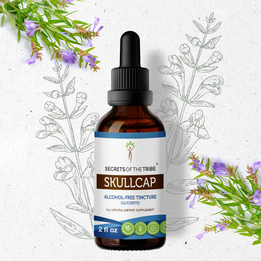 Secrets Of The Tribe Skullcap Tincture buy online 