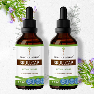 Secrets Of The Tribe Skullcap Tincture buy online 