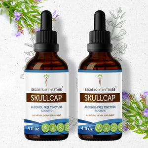 Secrets Of The Tribe Skullcap Tincture buy online 