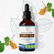 Load image into Gallery viewer, Secrets Of The Tribe Slippery Elm Tincture buy online 