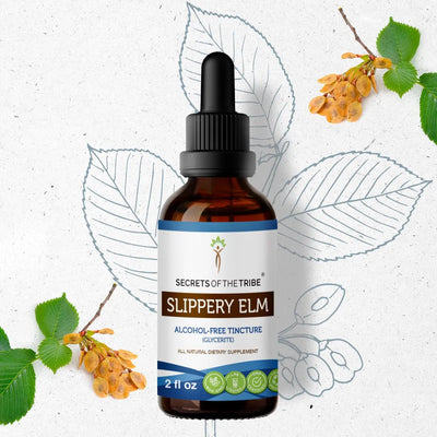 Slippery Elm Tincture - Secrets Of The Tribe 