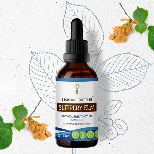 Secrets Of The Tribe Slippery Elm Tincture buy online 