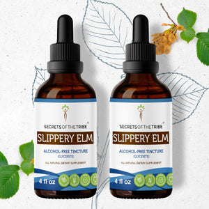 Secrets Of The Tribe Slippery Elm Tincture buy online 