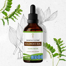 Load image into Gallery viewer, Secrets Of The Tribe Solomon&#39;s Seal Tincture buy online 