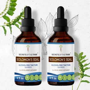 Secrets Of The Tribe Solomon's Seal Tincture buy online 