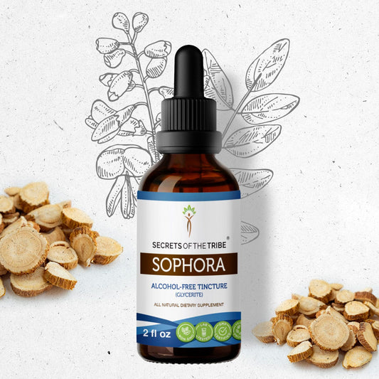 Secrets Of The Tribe Sophora Tincture buy online 