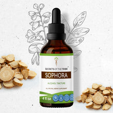 Load image into Gallery viewer, Secrets Of The Tribe Sophora Tincture buy online 