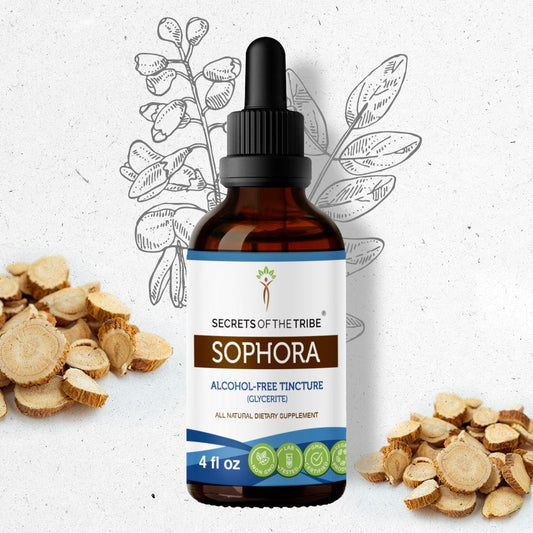 Secrets Of The Tribe Sophora Tincture buy online 