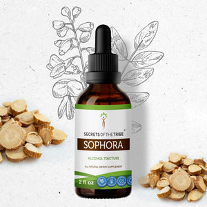 Secrets Of The Tribe Sophora Tincture buy online 
