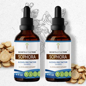 Secrets Of The Tribe Sophora Tincture buy online 