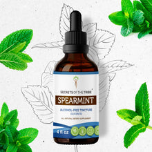 Load image into Gallery viewer, Secrets Of The Tribe Spearmint Tincture buy online 