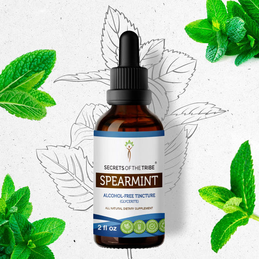 Secrets Of The Tribe Spearmint Tincture buy online 