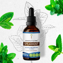 Load image into Gallery viewer, Secrets Of The Tribe Spearmint Tincture buy online 