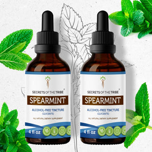 Secrets Of The Tribe Spearmint Tincture buy online 