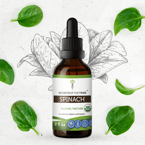 Secrets Of The Tribe Spinach Tincture buy online 