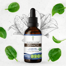 Load image into Gallery viewer, Secrets Of The Tribe Spinach Tincture buy online 