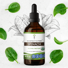 Load image into Gallery viewer, Secrets Of The Tribe Spinach Tincture buy online 