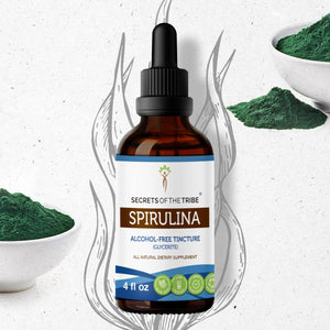 Secrets Of The Tribe Spirulina Tincture buy online 