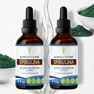 Secrets Of The Tribe Spirulina Tincture buy online 